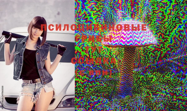 apvp Алексеевка