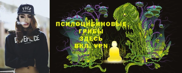 прущие грибы Арсеньев