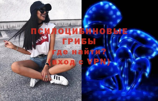 apvp Алексеевка