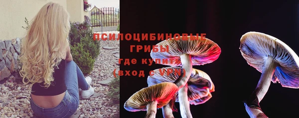 стафф Армянск