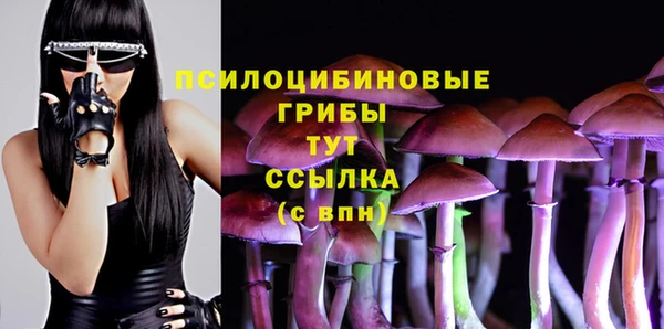 apvp Алексеевка