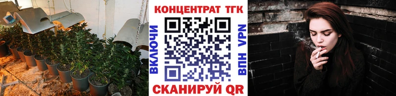 купить наркотики цена  Волхов  Дистиллят ТГК концентрат 