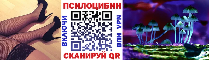 Галлюциногенные грибы GOLDEN TEACHER  ссылка на мегу ссылка  Волхов  купить наркотики сайты 