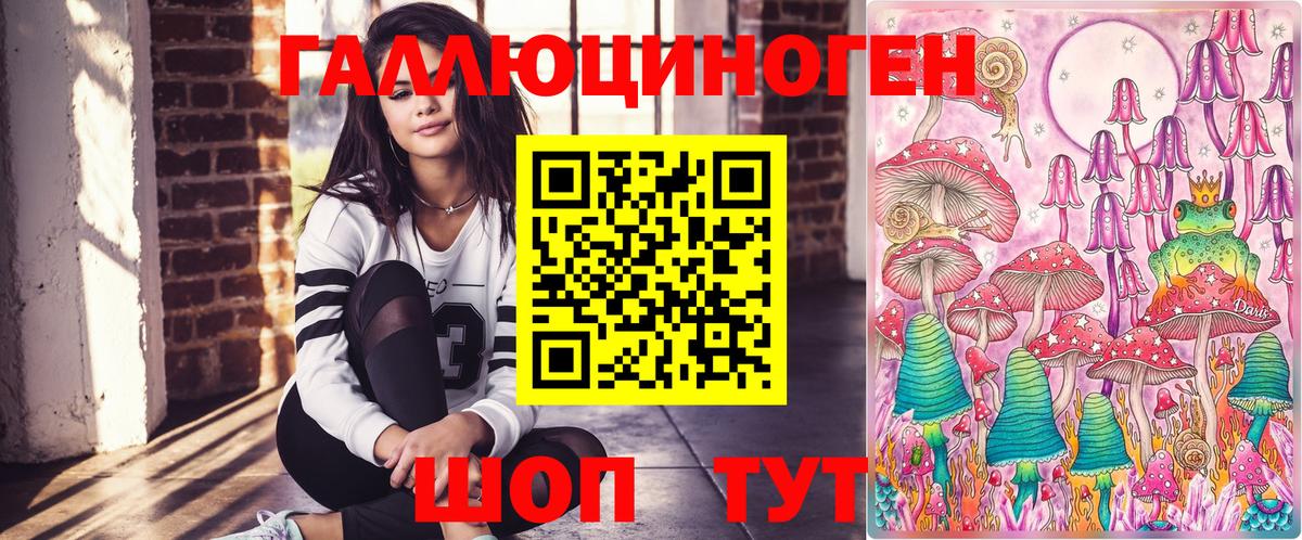 Бошки Шишки  Волхов  Hash Oil  Вход с VPN  Меф  LSD-25  Кокаин  Alpha-PVP  Магазины продажи наркотиков  Гарик 