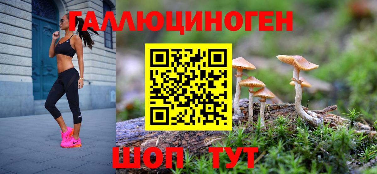 Псилоцибиновые грибы GOLDEN TEACHER  Вход с VPN  что такое наркотик  Псилоцибиновые грибы Magic Shrooms  Волхов 